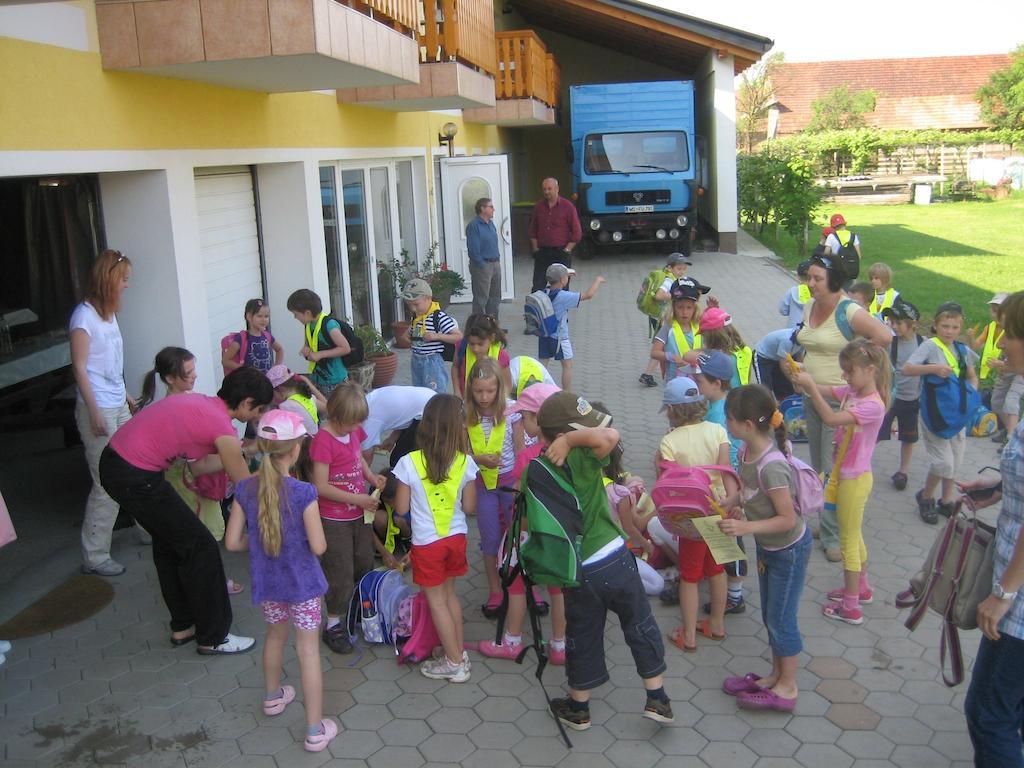 Villa Tourist Farm Šalamun à Banovci Extérieur photo