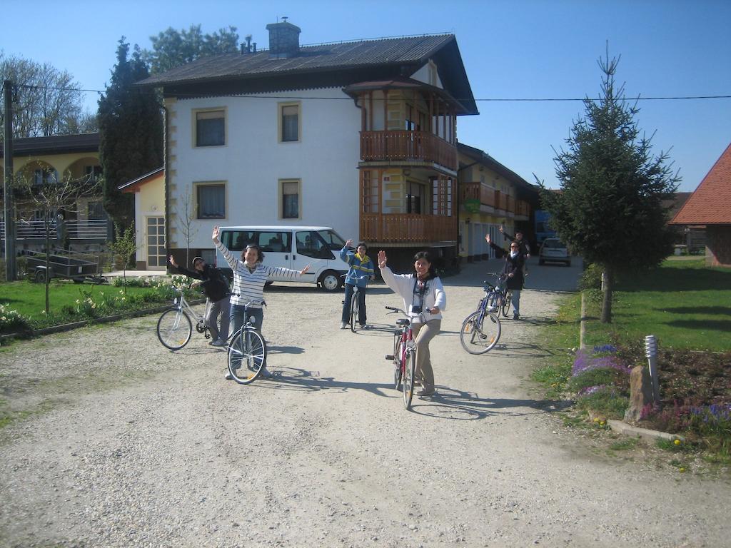 Villa Tourist Farm Šalamun à Banovci Extérieur photo