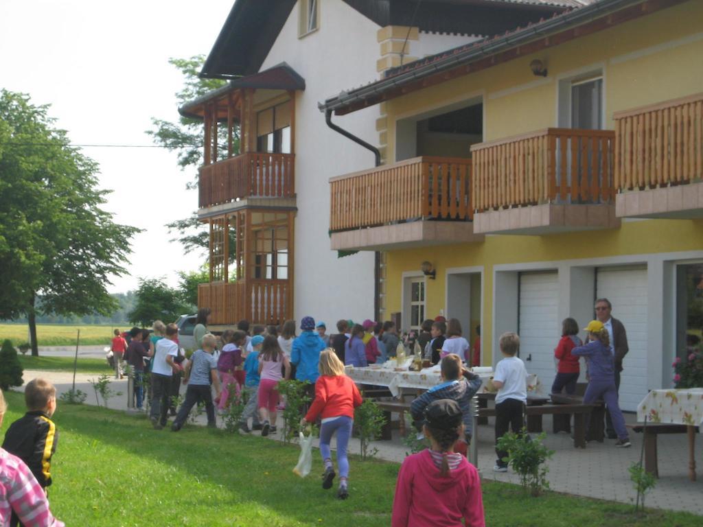 Villa Tourist Farm Šalamun à Banovci Extérieur photo