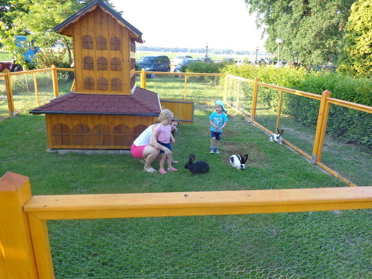 Villa Tourist Farm Šalamun à Banovci Extérieur photo